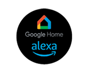Google Home Alexa