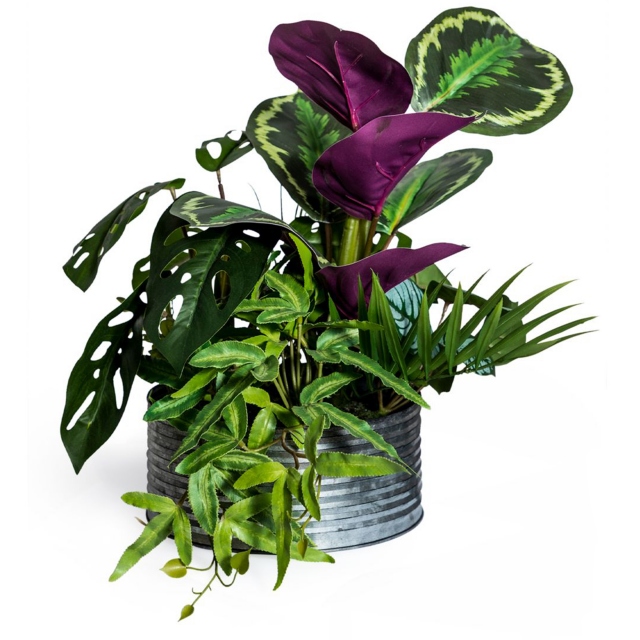 Tin Pot In Plant Arrangement - Tropical