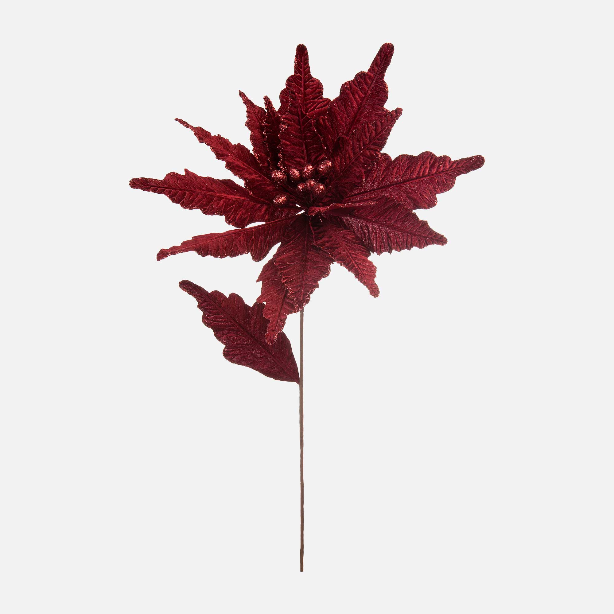 Velvet Poinsettia - Burgundy Stem