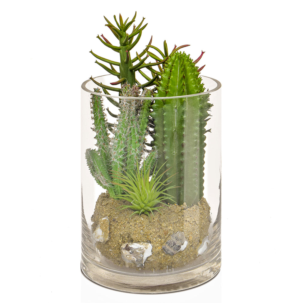 Cactus Mix In Glass Vase - 20cm Green