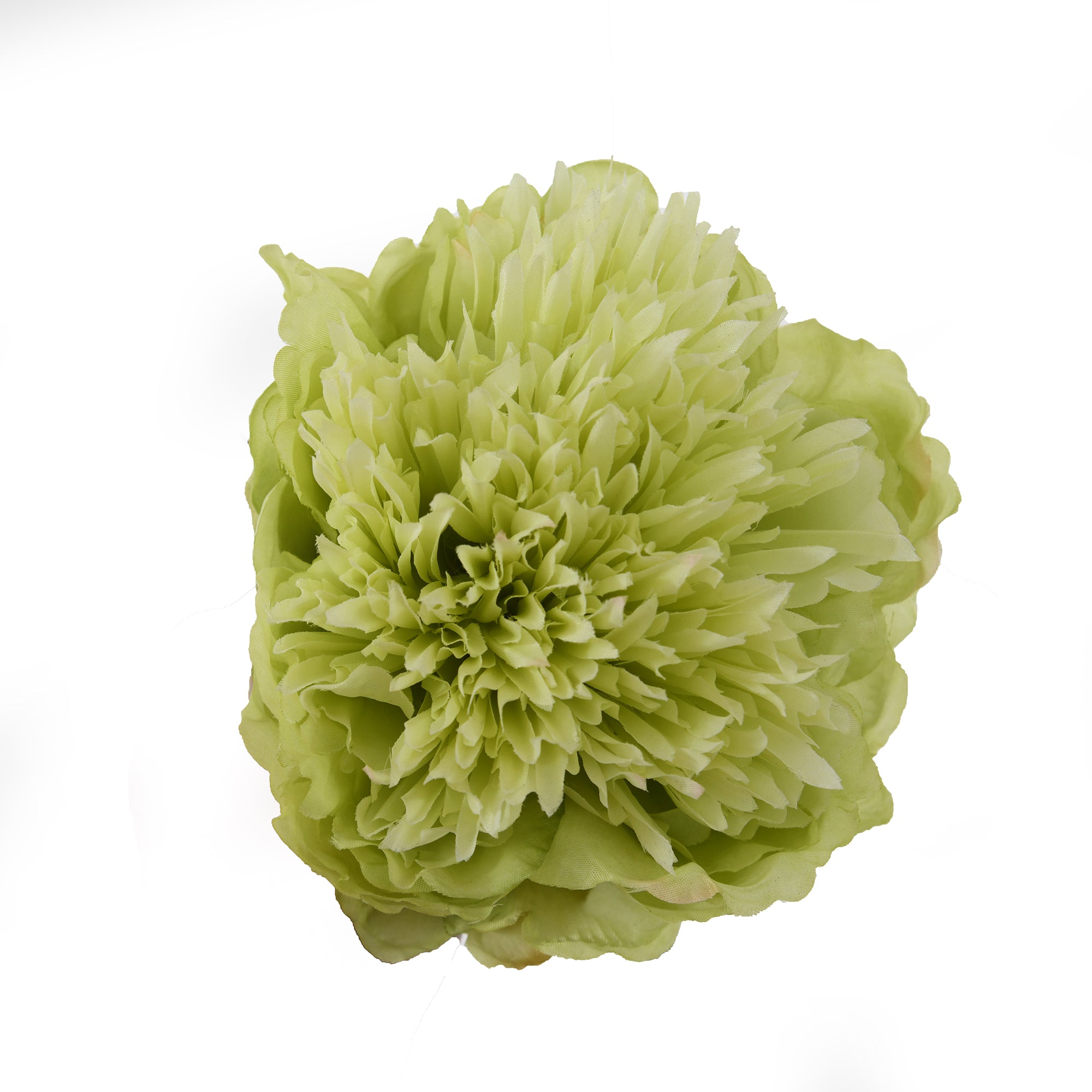 Green Peony Stem 43cm (FR)