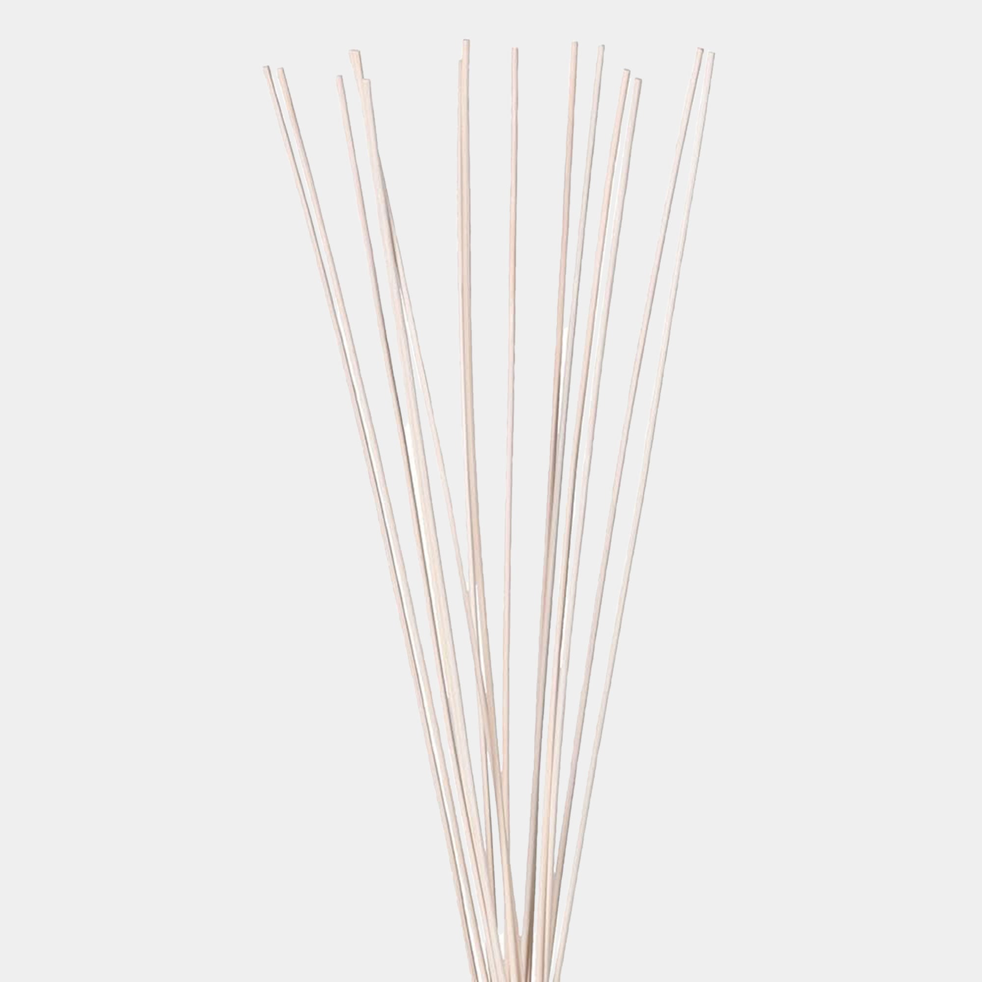 Natural Wood Diffuser sticks 55cm Set of 10 (BO)