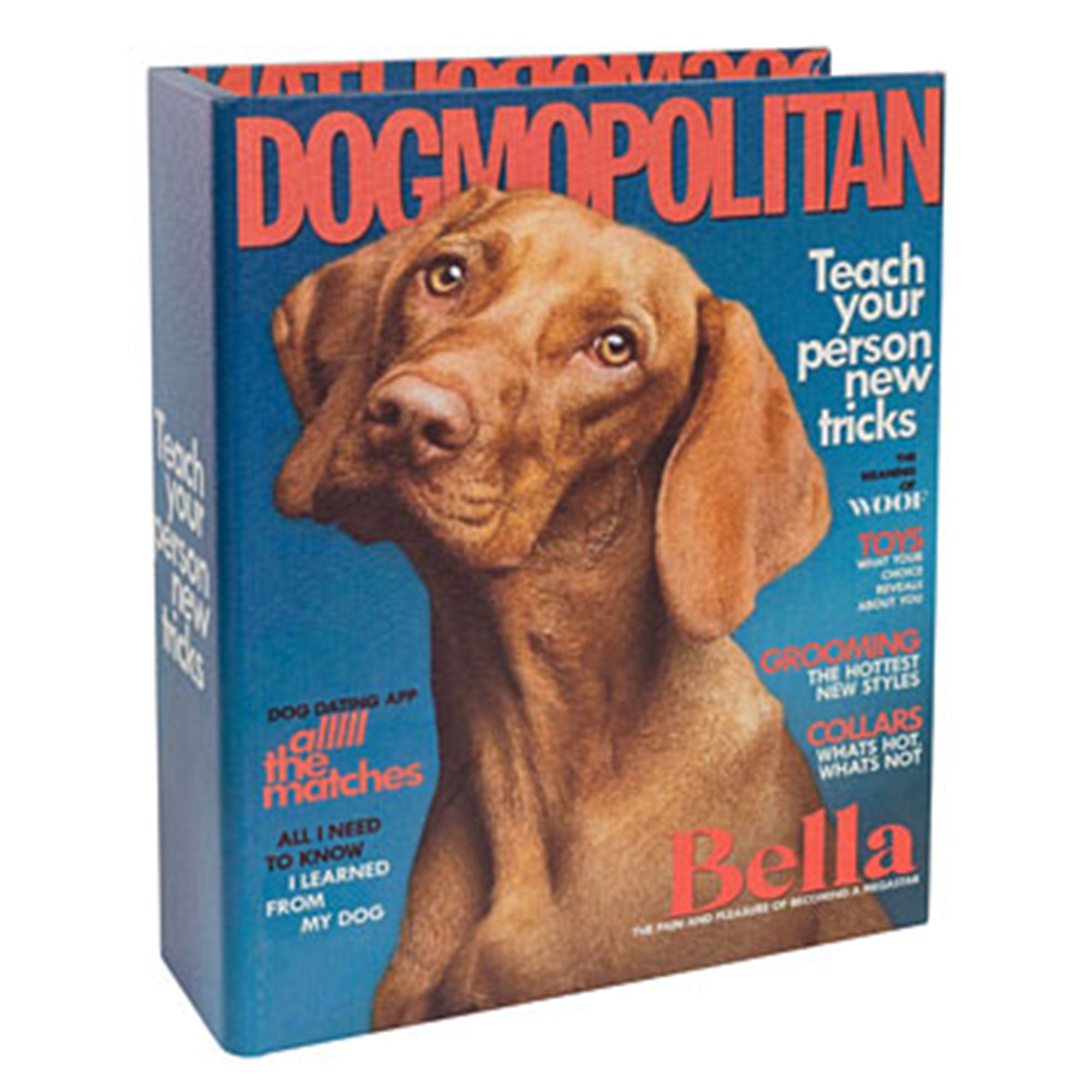 Dogmopolitan Box - Set of 3