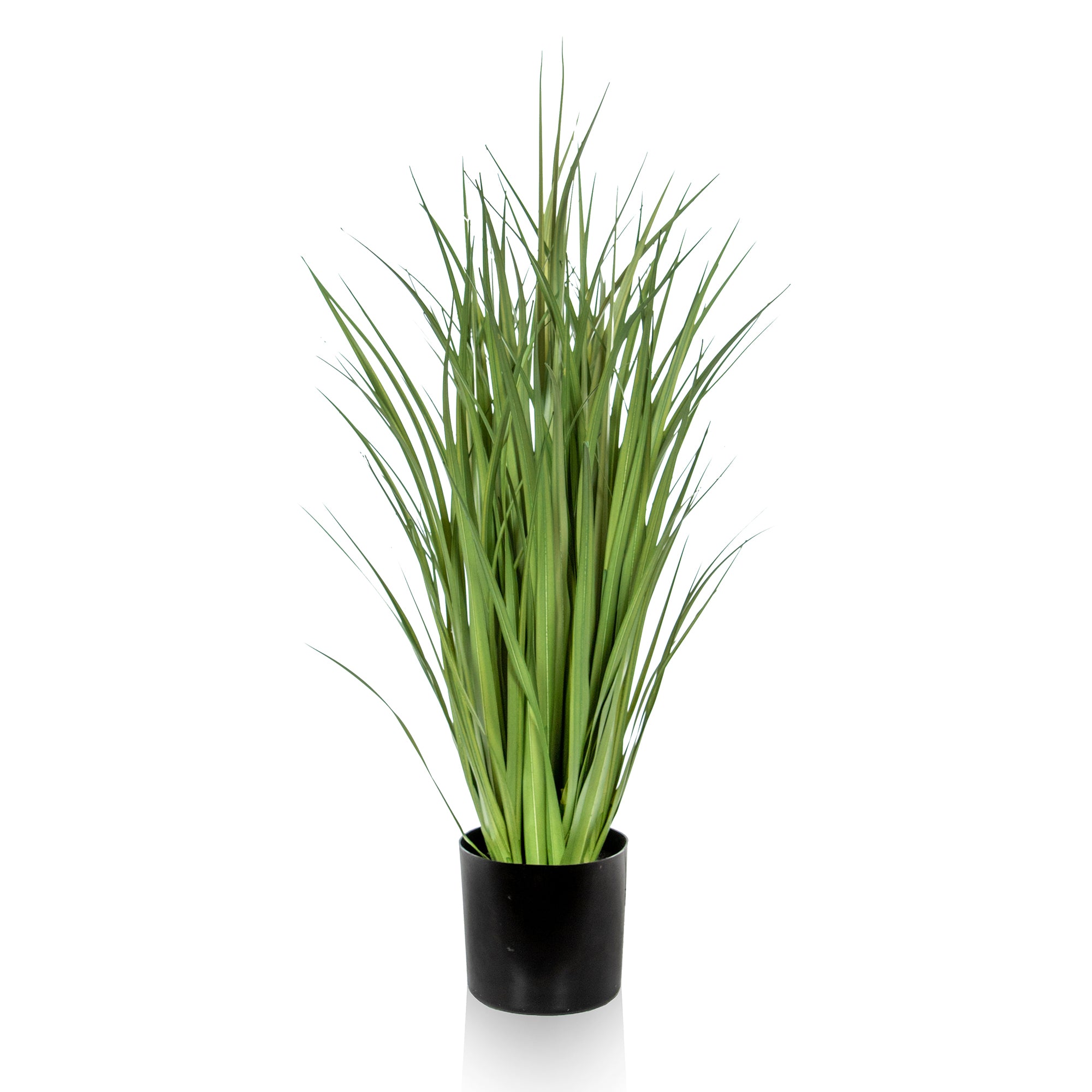 Grass with Pot - Small