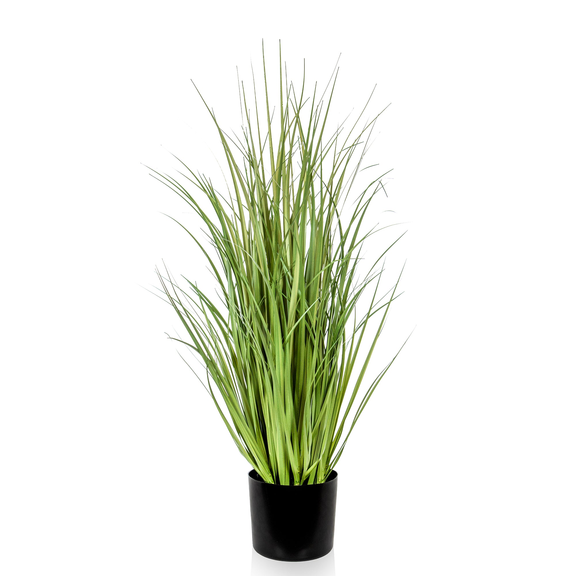 Grass with Pot - Large