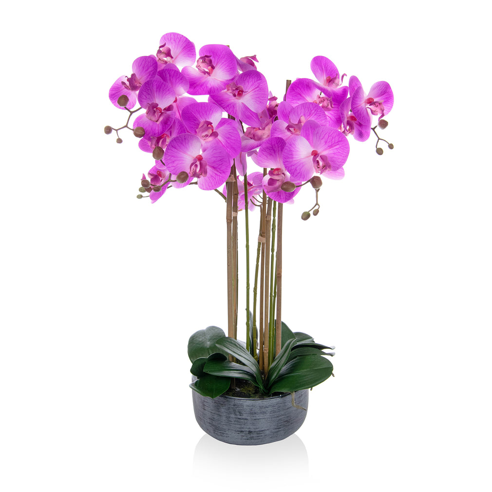 Phal Real Touch Pink