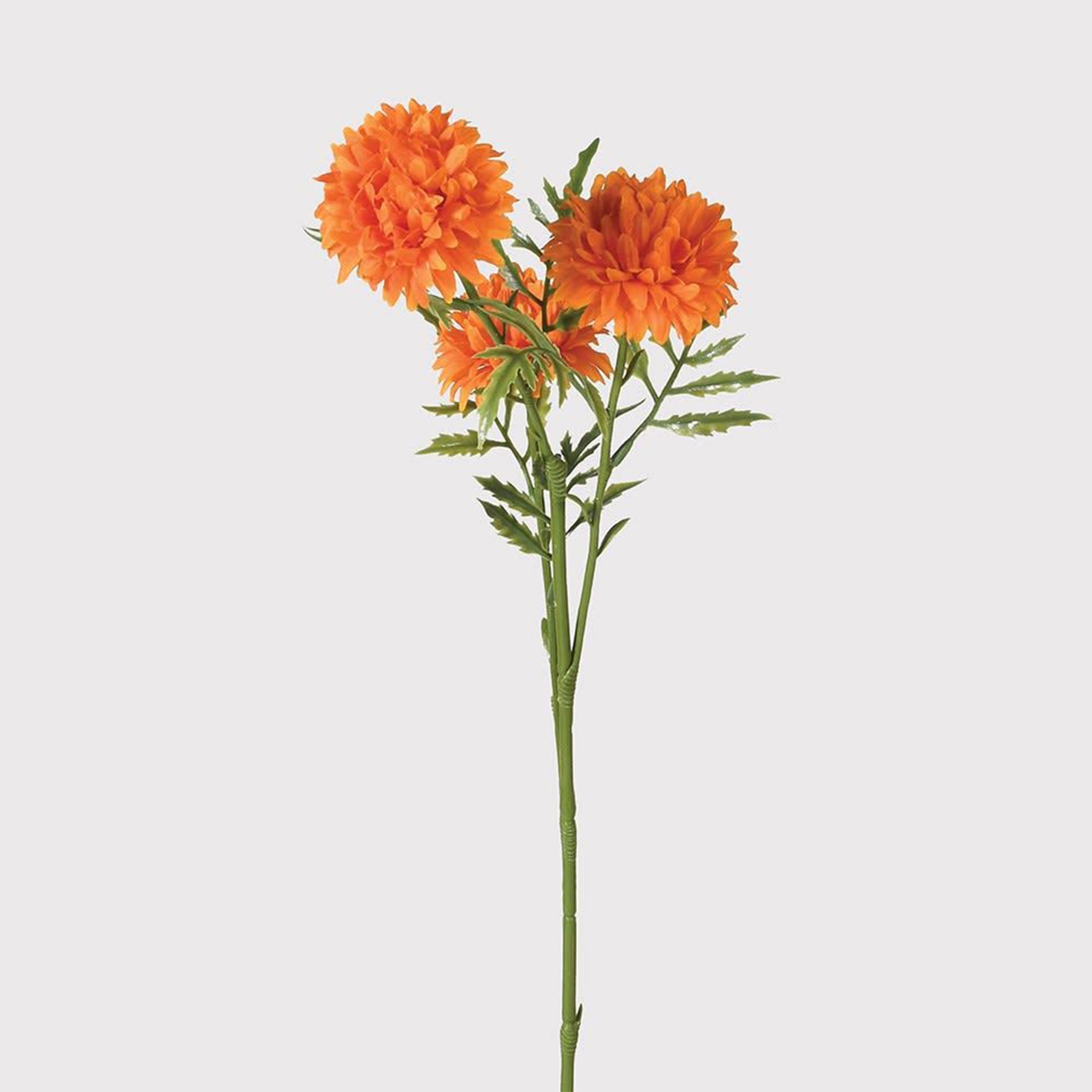 Orange Marigold Spray