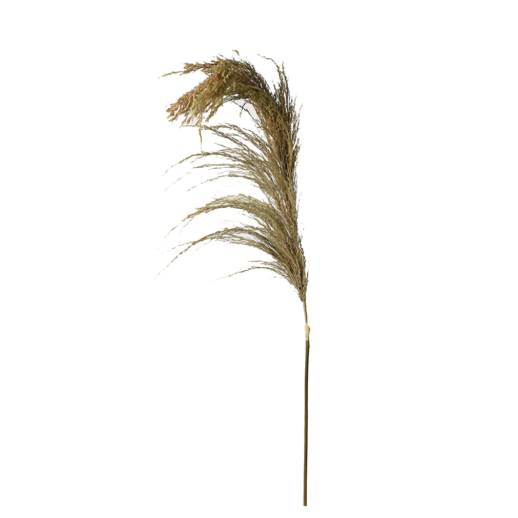 Nataly - Dried Wheat Spray