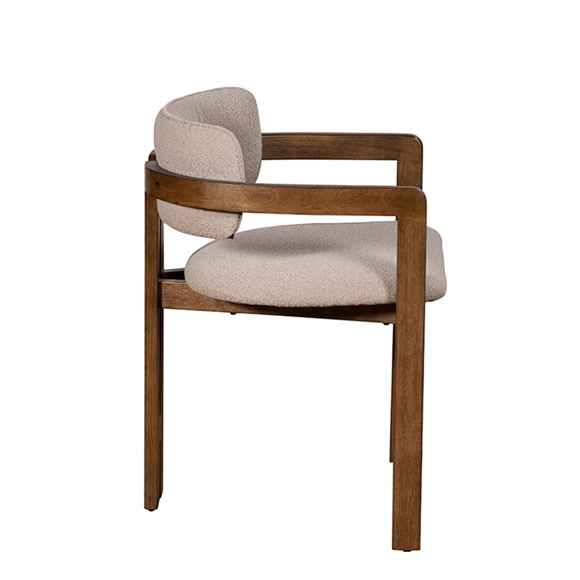 Abbott - Dining Armchair