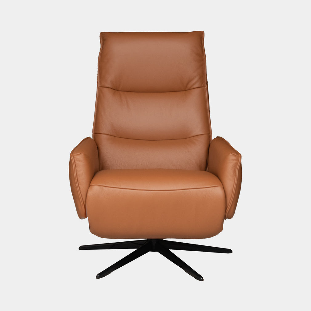 Danube - Power Recliner Swivel Chair In Leather