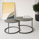 Venice - 2 Piece Coffee Table Set In Matte Grey