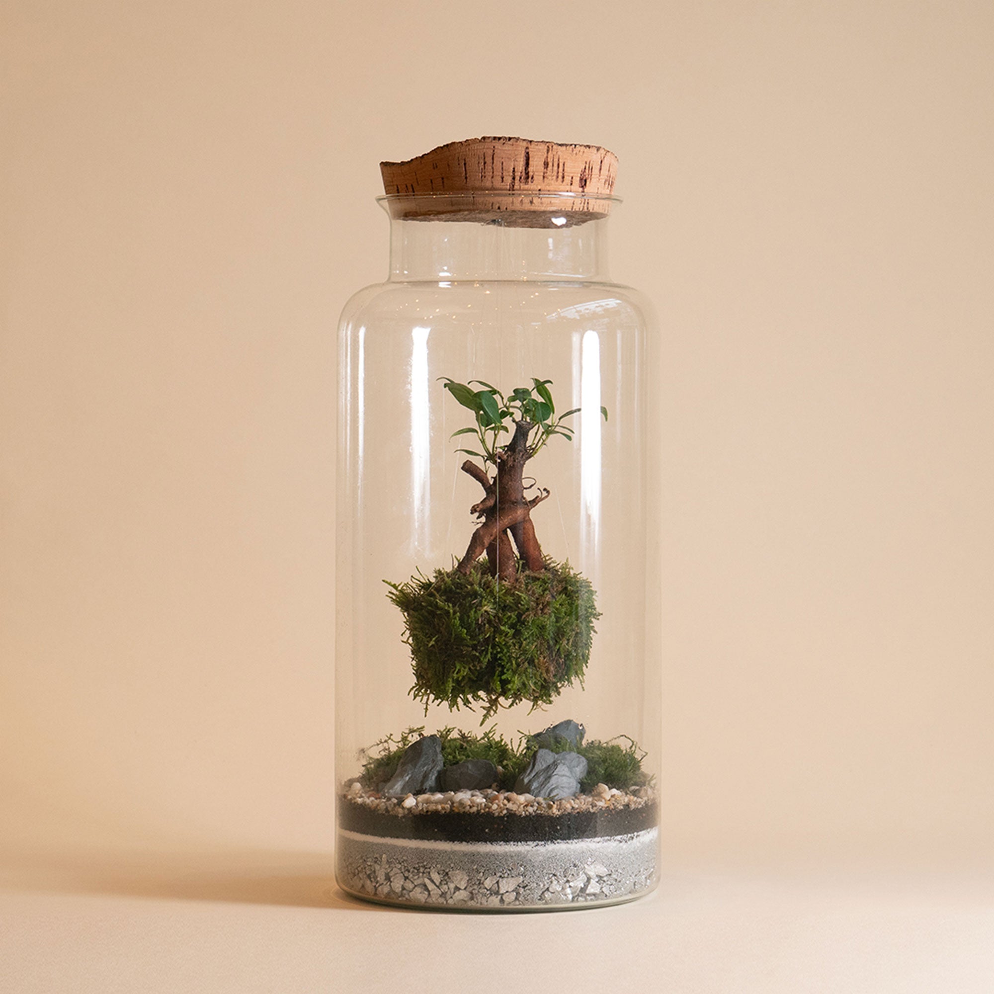 Creator - Jar Terrarium