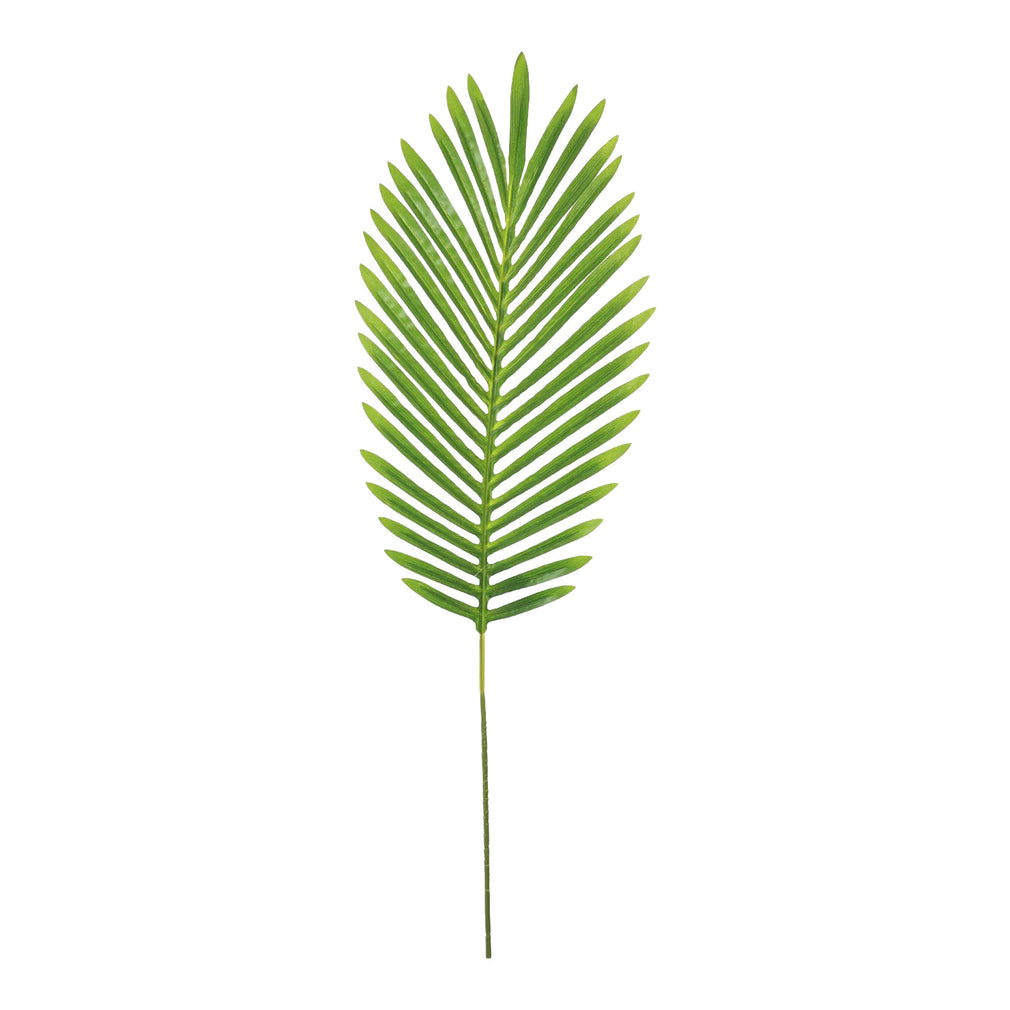 Tropical - Fern Leaf Stem