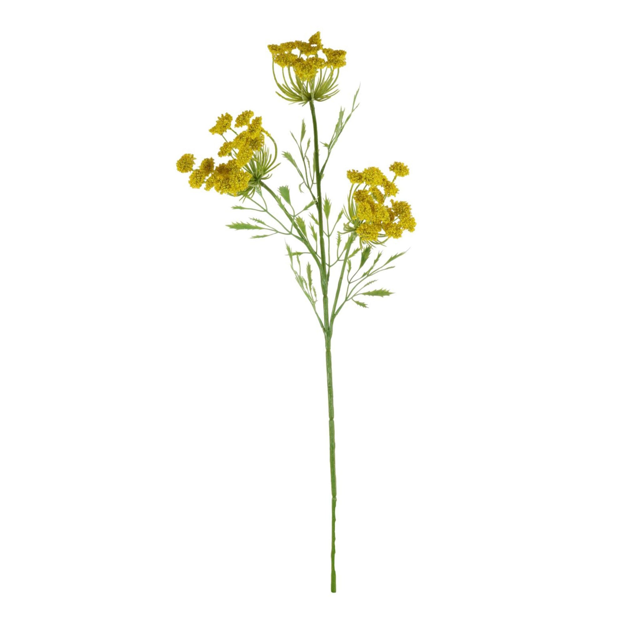 Yellow Cow Parsley - Stem