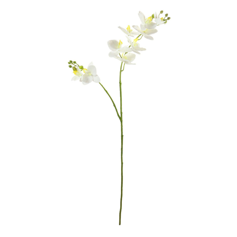 Purus - White Orchid Stem