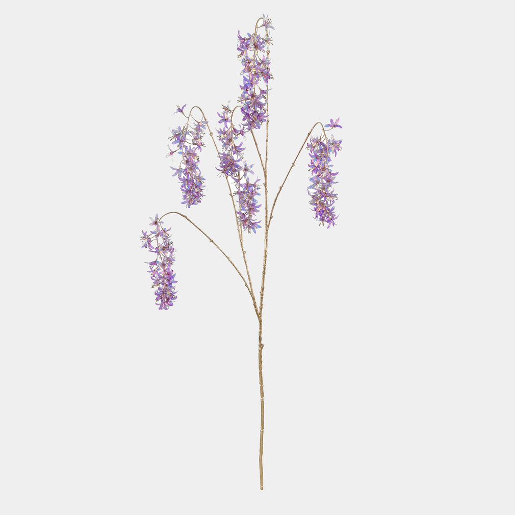 Amethyst - Purple Wisteria Flower