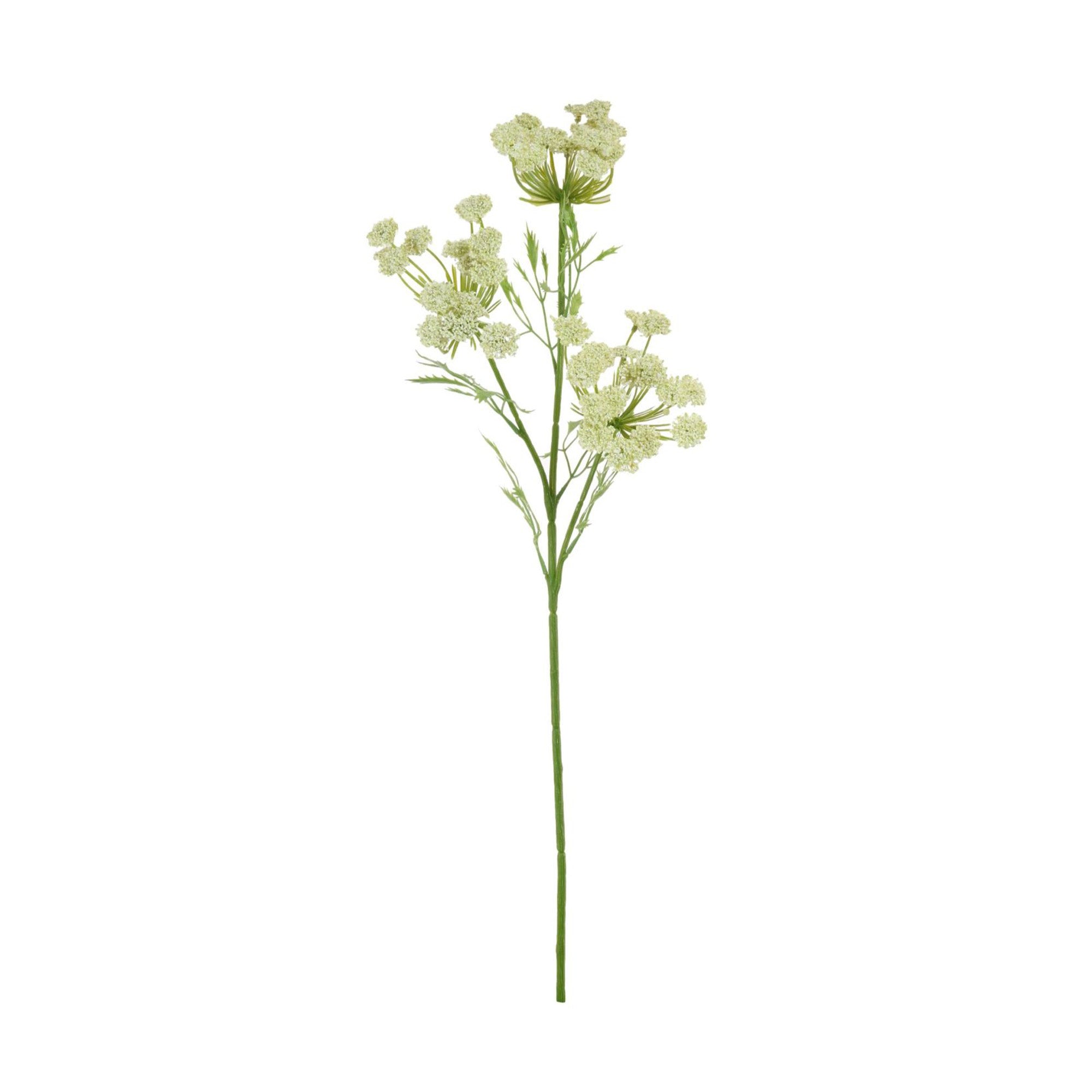 Cow Parsley Stem - Green