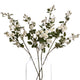 Wild Meadow Rose - White Spray