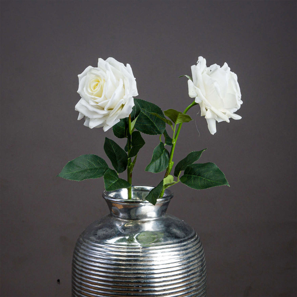 Garden Rose - White Stem