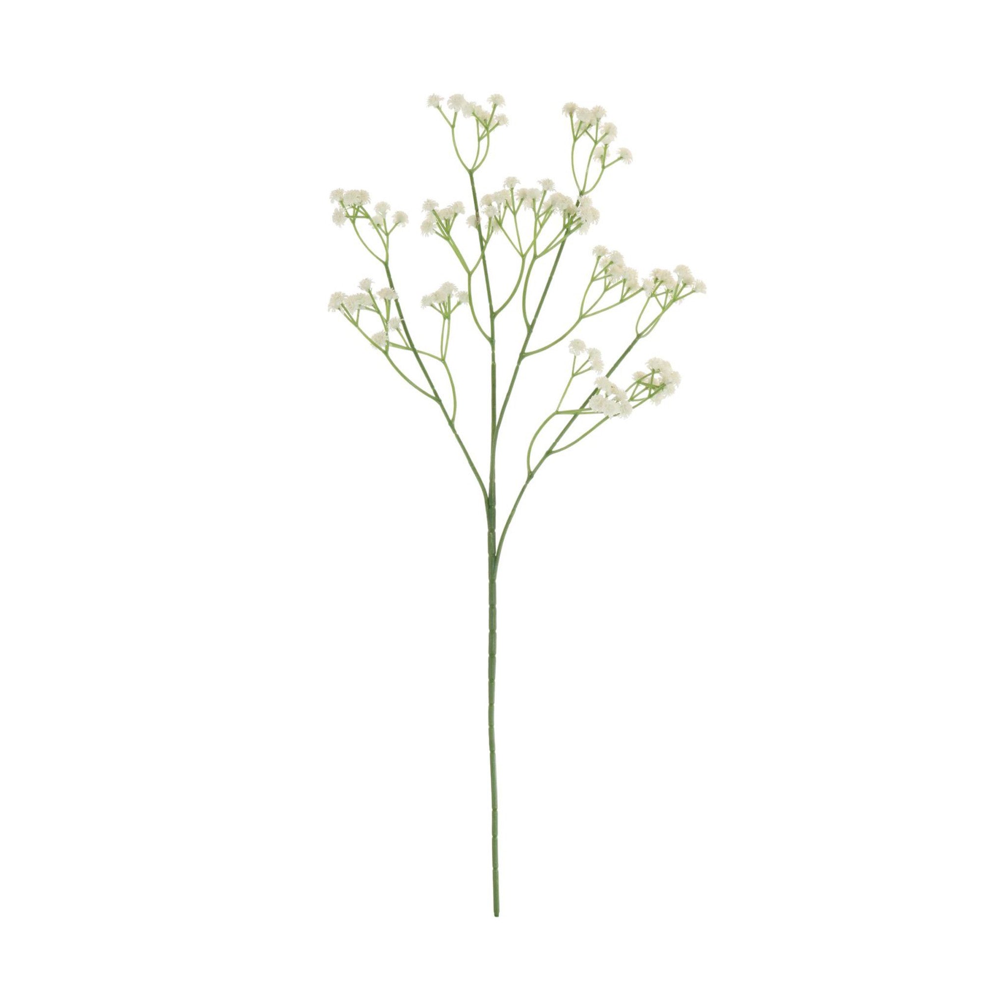 Fluffy Gypsophila Spray