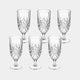 Tipperary Belvedere - Set of 6 Water Glass