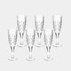 Tipperary Belvedere - Set of 6 Flute Glasses