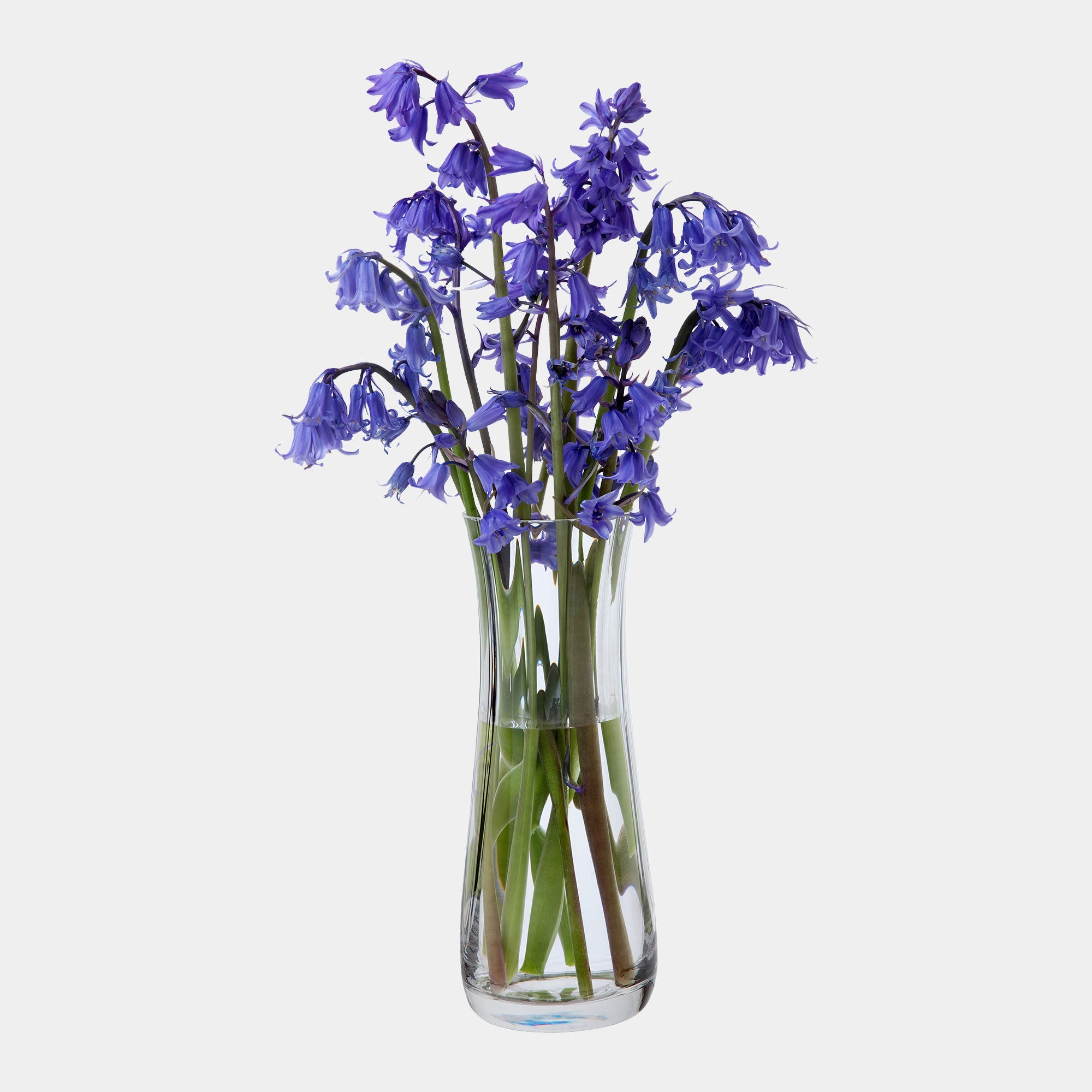 Dartington - Florabundance Bluebell Vase