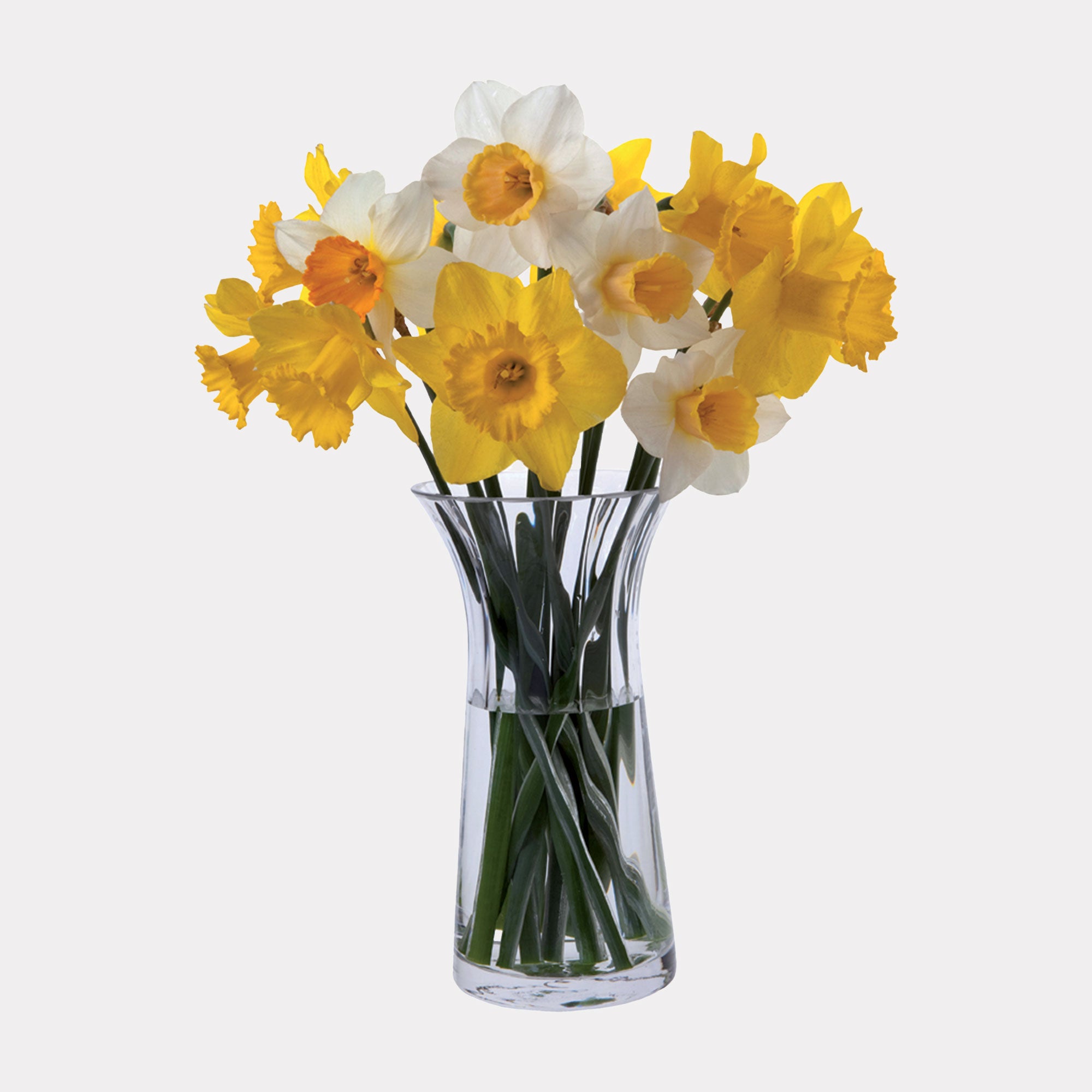 Dartington - Florabundance Daffodil Vase