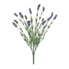 Bunch - Lavender