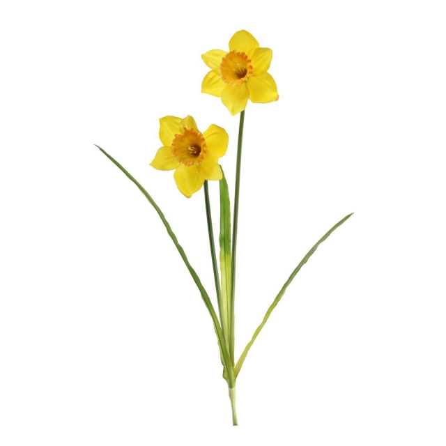Spray - Spring Daffodil