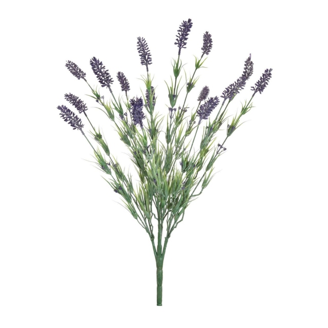 Bunch - Lavender
