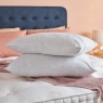Hypnos Goose Feather & Down - Pillows