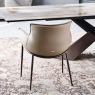 Chair In Soft Leather & GFM18 Bronze Frame - Cattelan Italia Rhonda