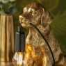 Gold Labrador Puppy - Leo